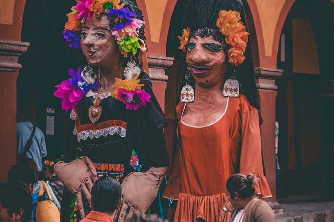 Private Transfer from Sayulita to Guadalajara - An In-Depth Look at the Transfer Experience