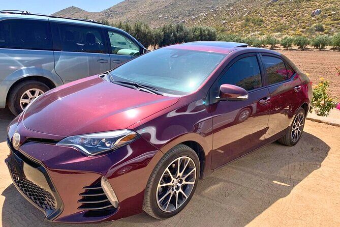 Private Transfer from Tijuana to Ensenada and Valle de Guadalupe - Practical Tips for Travelers