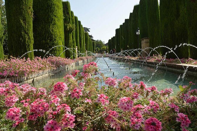 Private Transfer Seville to Granada with a Tour of Cordoba/Mosque - What Travelers Are Saying