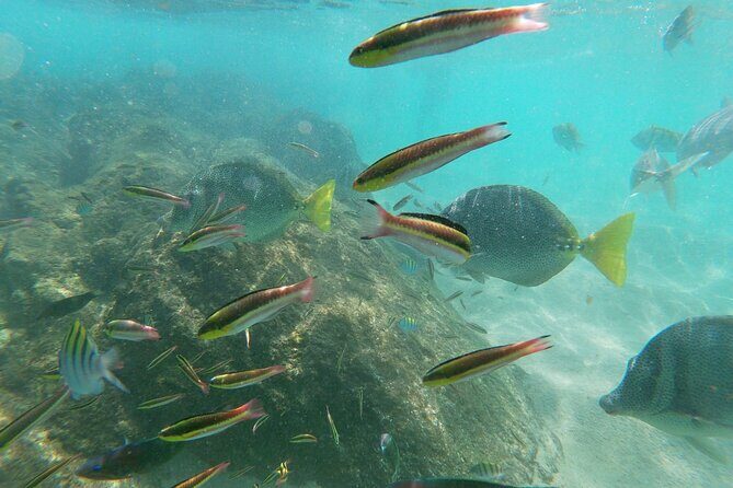 Private transportation Airport-Hotel or Hotel-Airport - Who This Service Is Perfect For