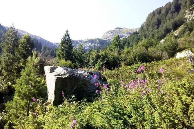 Private Trekking in Rila Mountains and Mt Mousala from Sofia - Transportation & Logistics