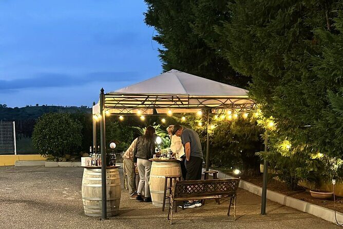 Private Trip to the Vineyards of Ginosa with tasting from Matera - The Practicalities and Value