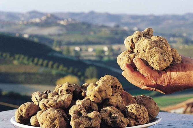 Private Truffle Hunt in Tuscany - Who Will Love This Experience?