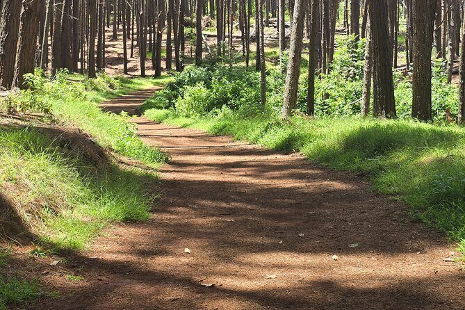 Private Upcountry Hiking Tour - The Spring and the Lava Rock Formations