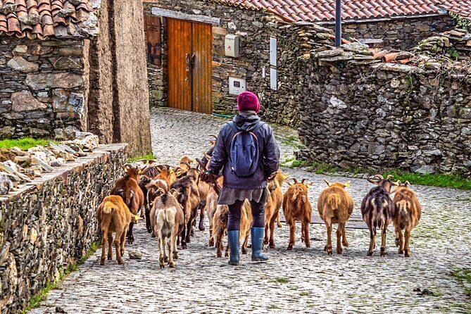 Private Van Tour to Schist Villages of Lousã - FAQ