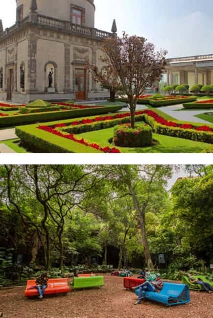 Private walking tour Gems of Historic Center of Mexico City - What Sets This Tour Apart?