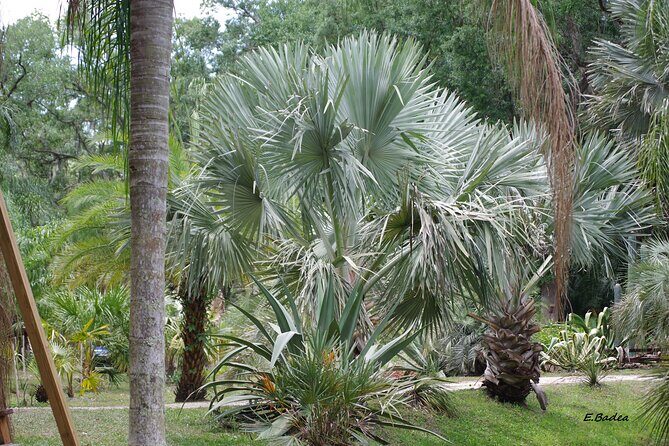 Private Walking Tour to St. John's Botanical Garden - The Itinerary: A Step-by-Step Exploration