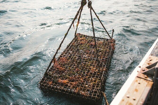 Private West Passage Oyster Tasting Aquaculture Tour - Who Will Love This Tour?