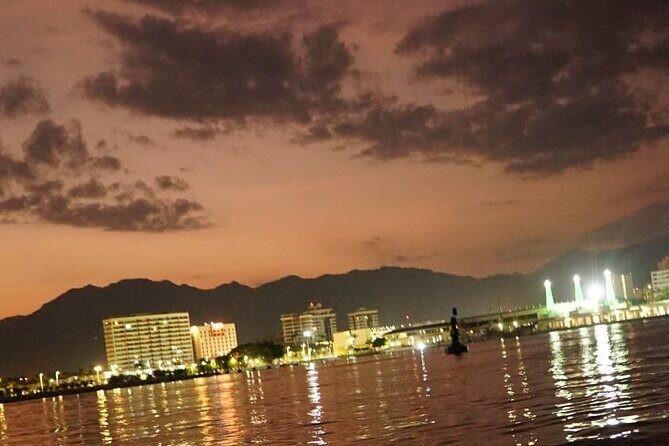 private whale watching at sunset - Who Should Consider This Tour?