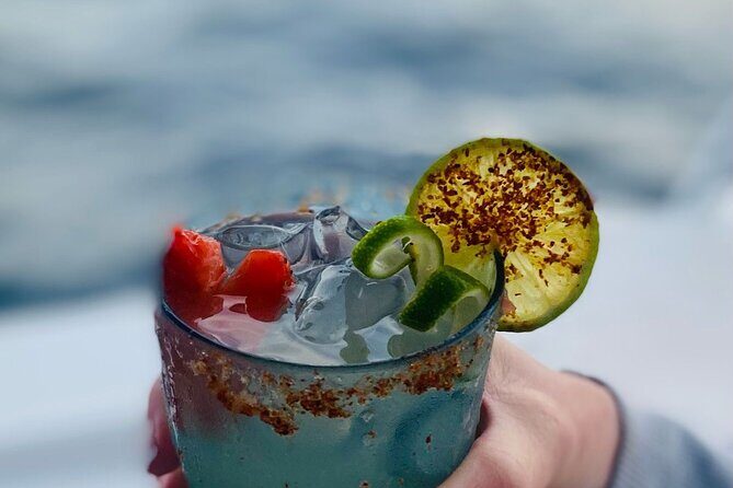 Private Whale Watching in San Jose Del Cabo snack,drinks,Warranty - Final Thoughts