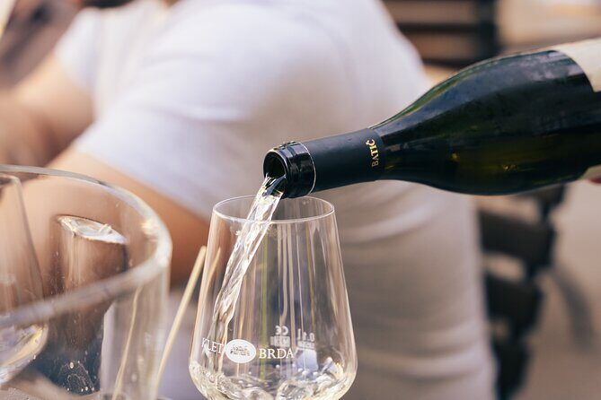 Private Wine Tasting Experience in Ljubljana - Key Points