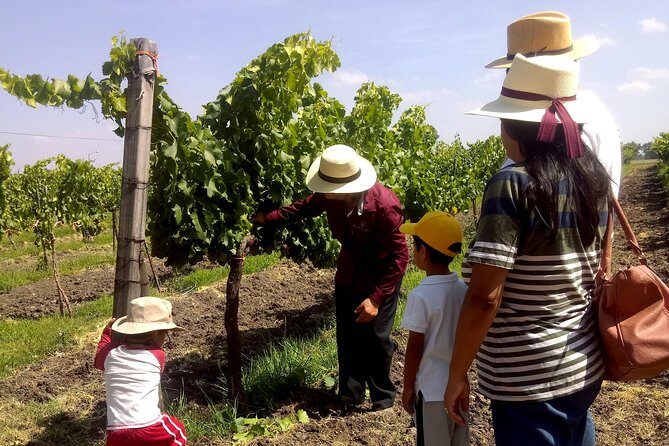 Private wine tasting & wine pairing tours - Cost and Value: Is It Worth It?