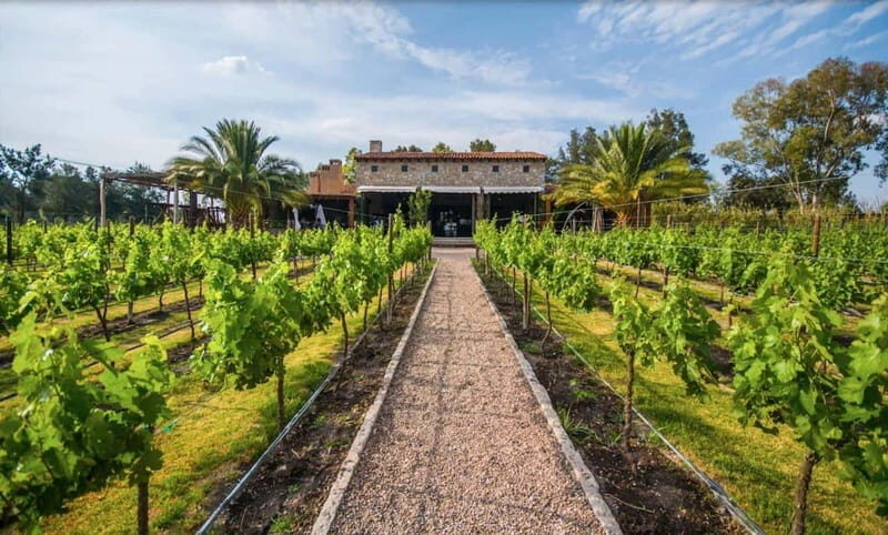 Private Wine Tour from Guanajuato City - What Makes This Tour Stand Out?