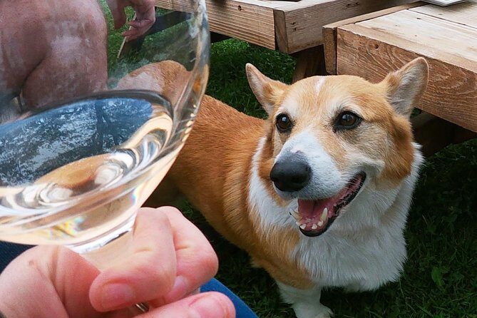 Private Wine Tour from the Santa Ynez Valley - Picnic Lunch: A Gourmet Break