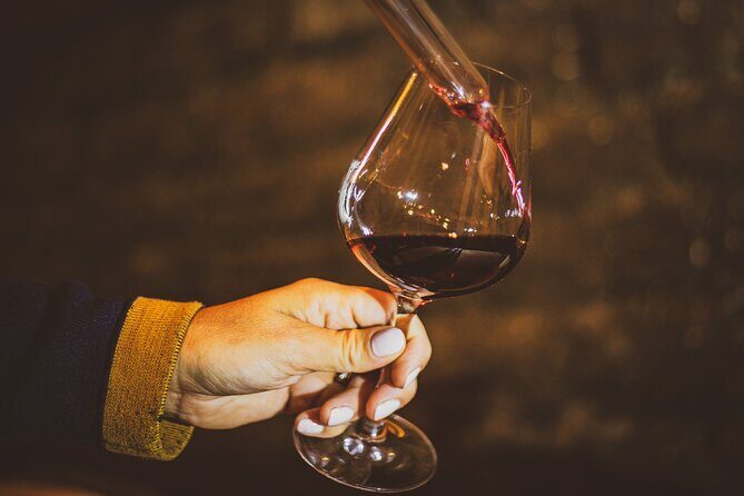 Private wine tour in Côte de Nuits and Côte de Beaune - Tasting some of Burgundy’s finest wines