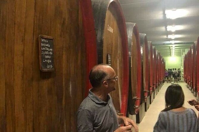 Private Wine Tour: Terraced Vineyards with Alpine view from Milan - The Experience’s Value and Practical Considerations