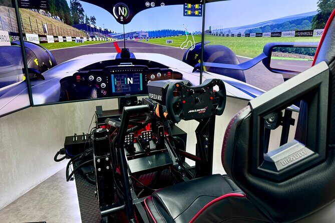 Professional racing simulator - Who Will Love This?
