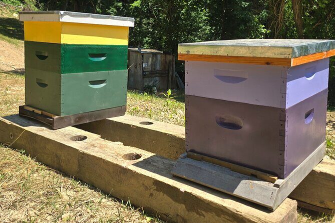 Promise Land Bee Farm Private Tour in Charleston - Summing It Up: An Authentic, Family-Friendly Farm Adventure