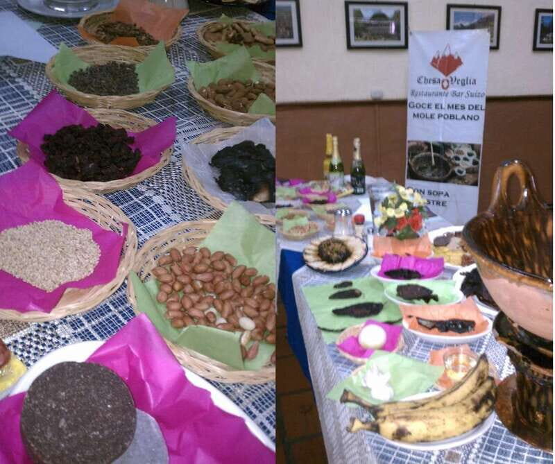 Puebla: 5-Hour Culinary Tour with Tastings - Evaluation of Value and Practical Aspects