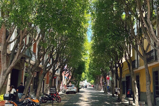 Puebla and Cholula Private Tour from Mexico City - Who Is This Tour Best For?