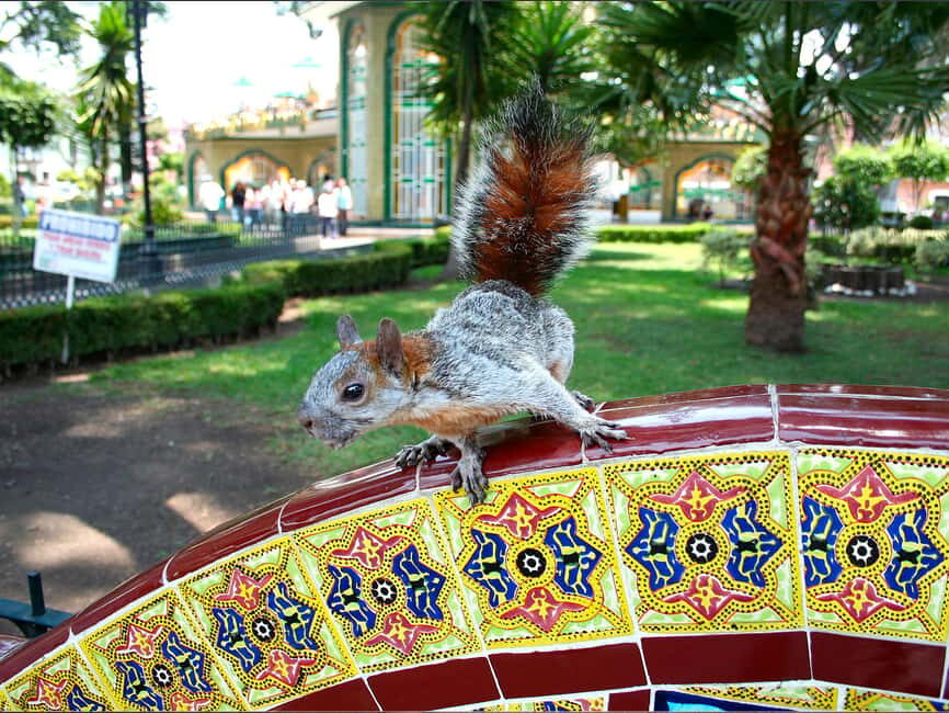 Puebla: Magical Atlixco, Volcano, Unique Garden & Plant Maze - Key Points