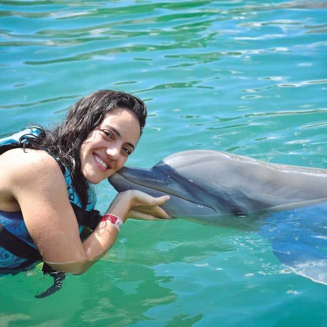 Puerto Aventuras: Dolphin and Manatee Interaction with Lunch - Key Points