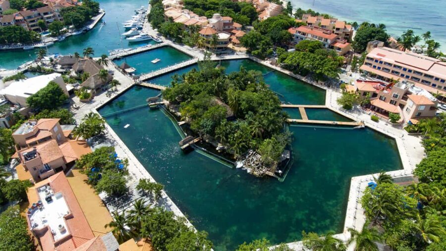 Puerto Aventuras: Dolphin & Manatee Encounter with lunch - The Value of This Experience