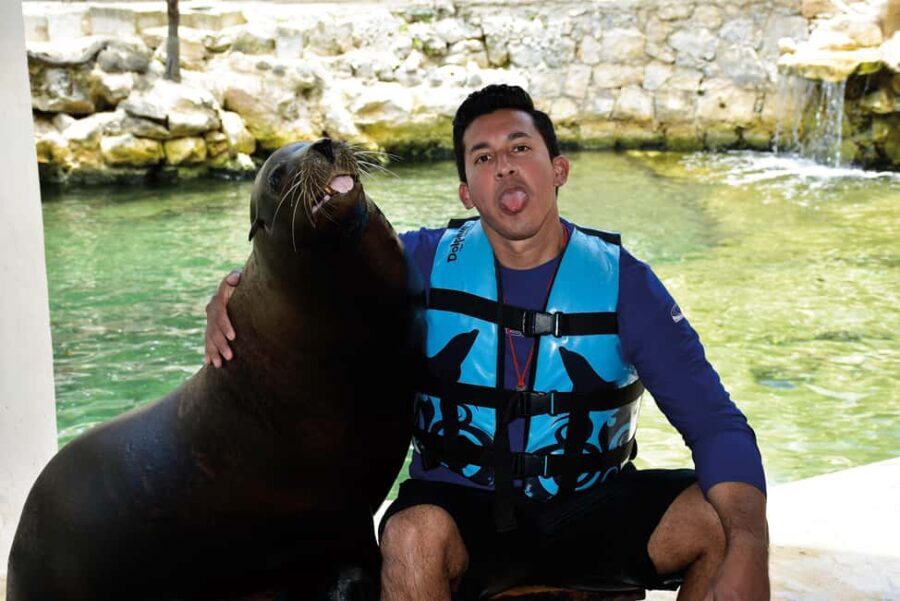 Puerto Aventuras: Dolphins, Manatee & Sea Lion interaction - Who Would Enjoy This?