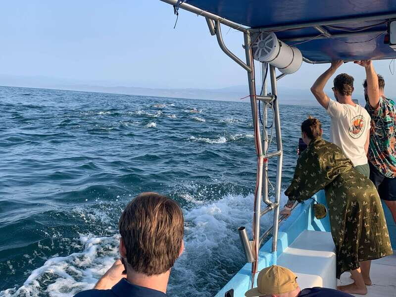 Puerto Escondido: Boat Tour to see Dolphins and Marine Life - Who Should Consider This Tour?