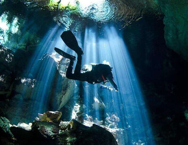 Puerto Morelo: Cenote Diving - What You Can Expect on the Tour