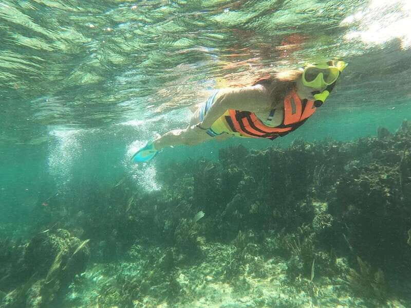 Puerto Morelos: Guided Snorkeling Tour with Gear & Fees - The Itinerary Breakdown