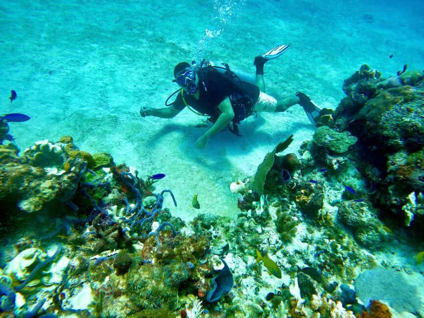 Puerto Morelos: Scuba Experience with Gear & Instructor - A Close Look at the Puerto Morelos Scuba Experience