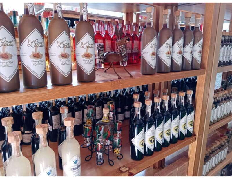 Puerto Morelos: Shopping Tour & Cenote Kin Ha - The Itinerary in Detail