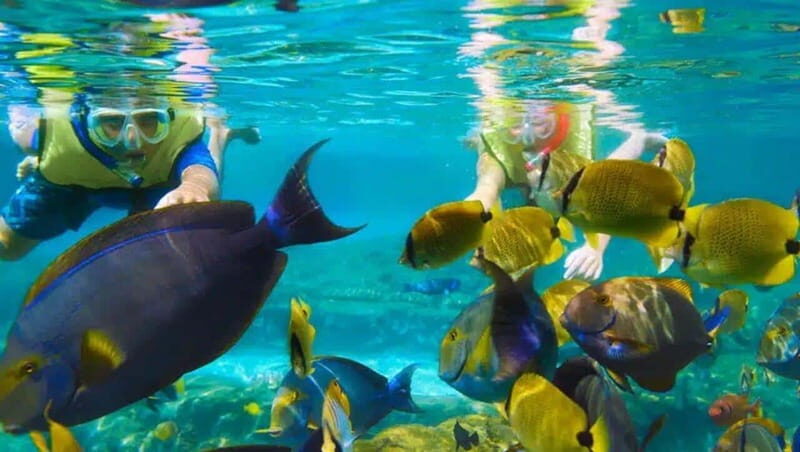 Puerto Morelos: Snorkeling at The National Reef Park - What to Expect During the Tour