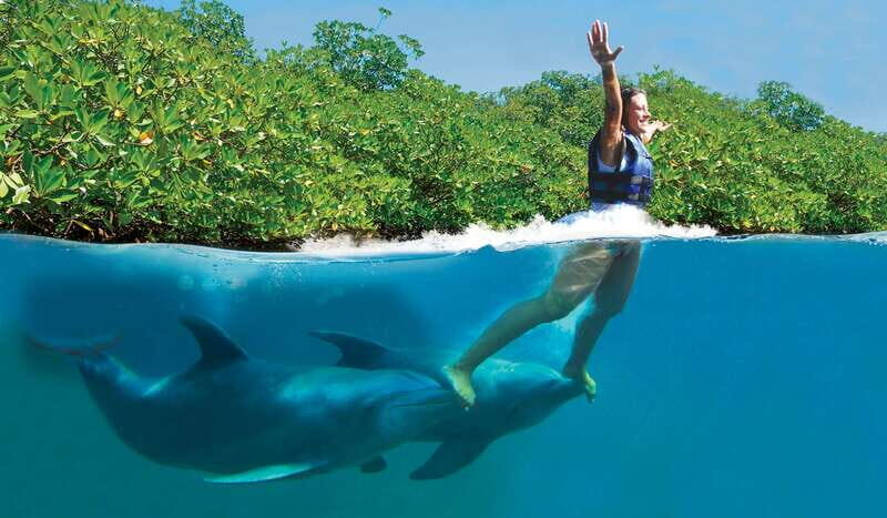 Puerto Morelos: Swim with dolphins Primax - What’s Included and What to Expect