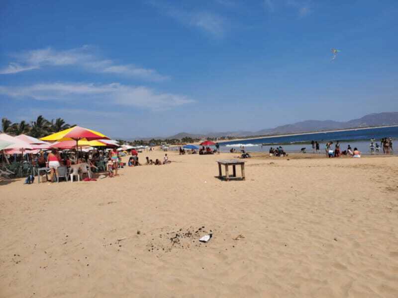 Puerto Vallarta: Beach Tour Experience - Why This Tour Offers Good Value