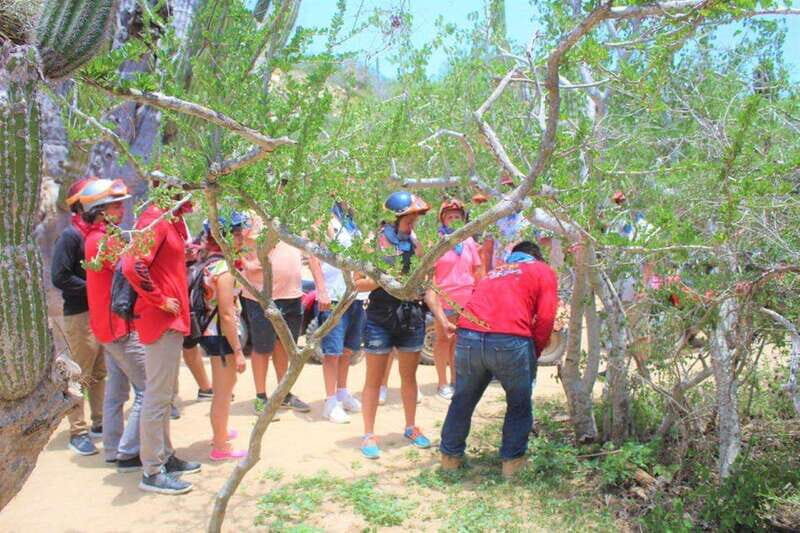 Puerto Vallarta: El Eden Horseback Riding - Why This Tour Is Worth Considering
