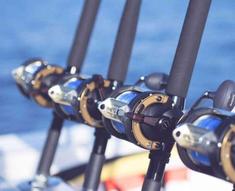 Puerto Vallarta: Fishing Cachi I 28 - The Itinerary: What Does a Typical Trip Look Like?