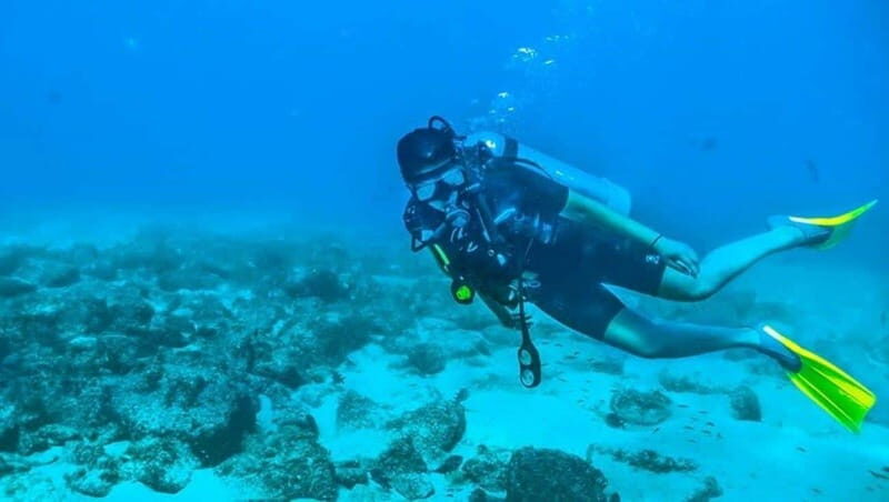 Puerto Vallarta: Scuba Dive at Los Arcos - The Underwater Landscape: Why It Matters