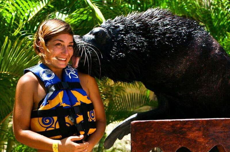 Puerto Vallarta: Sea Lion Discovery at Aquaventuras Park - FAQs