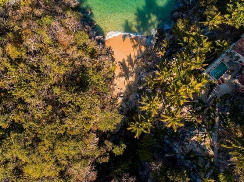 Puerto Vallarta: The Predator of the Sea - What You Can Expect During the Tour