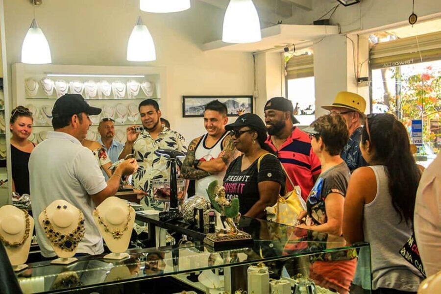 Puerto Vallarta: Tropical City & Zipline Adventure - What Makes This Tour Stand Out?