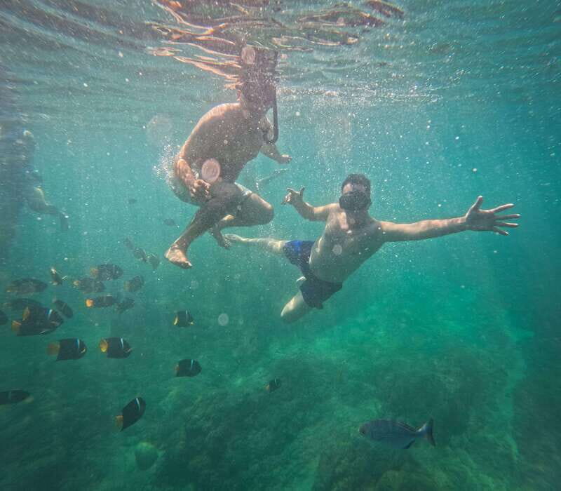 Puerto Vallarta: Zipline Tour, Snorkel & Secret Beach Escape - What Sets This Tour Apart?