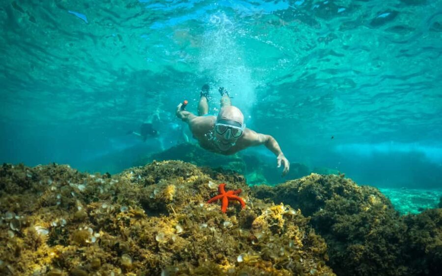 Pula: Kayaking, Snorkeling, Cliff jumping, photos included - Who Is This Tour Best For?