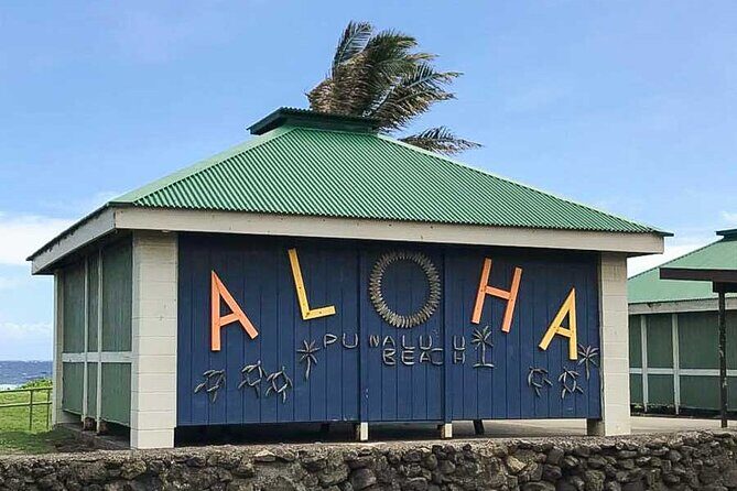 Punaluu Black Sand Beach Tour - Volcanoes National Park & Hilo - Exploring Punaluu Black Sand Beach