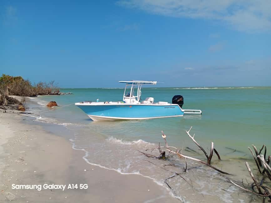 Punta Gorda/Boca Grande: Cayo Costa State Park Boat Tour - A Closer Look at the Experience