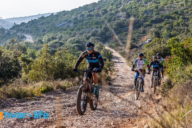 Pure Cycling Mtb Experience - The Sum Up