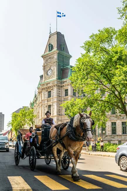Québec City: Private City Tour - Why Choose This Tour?