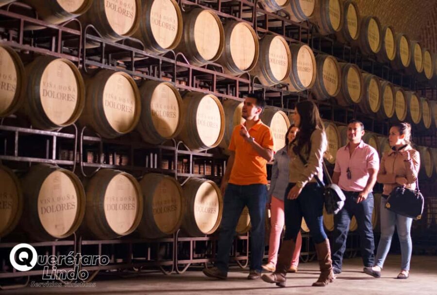 Querétaro: Art, Cheese and Wine Route - What It’s Like to Participate