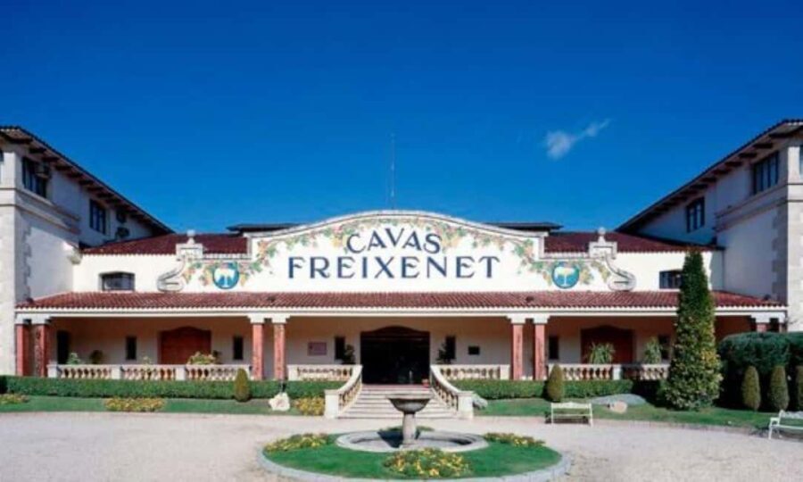 Querétaro: Cheese and Wine Tasting Tour - Who Will Love This Tour?